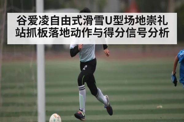 谷爱凌自由式滑雪U型场地崇礼站抓板落地动作与得分信号分析